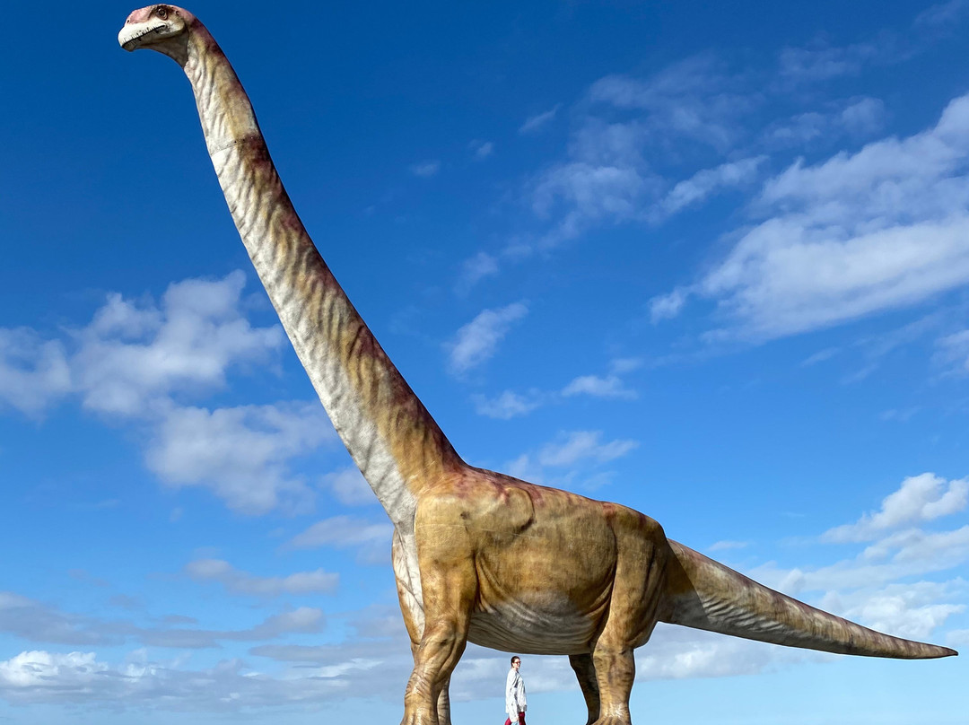 Replica del Titanosaurio-Trelew必去景点