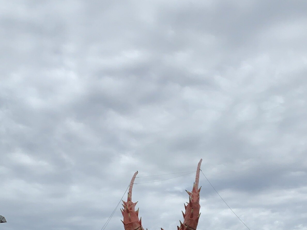 The Big Lobster-金斯顿镇必去景点