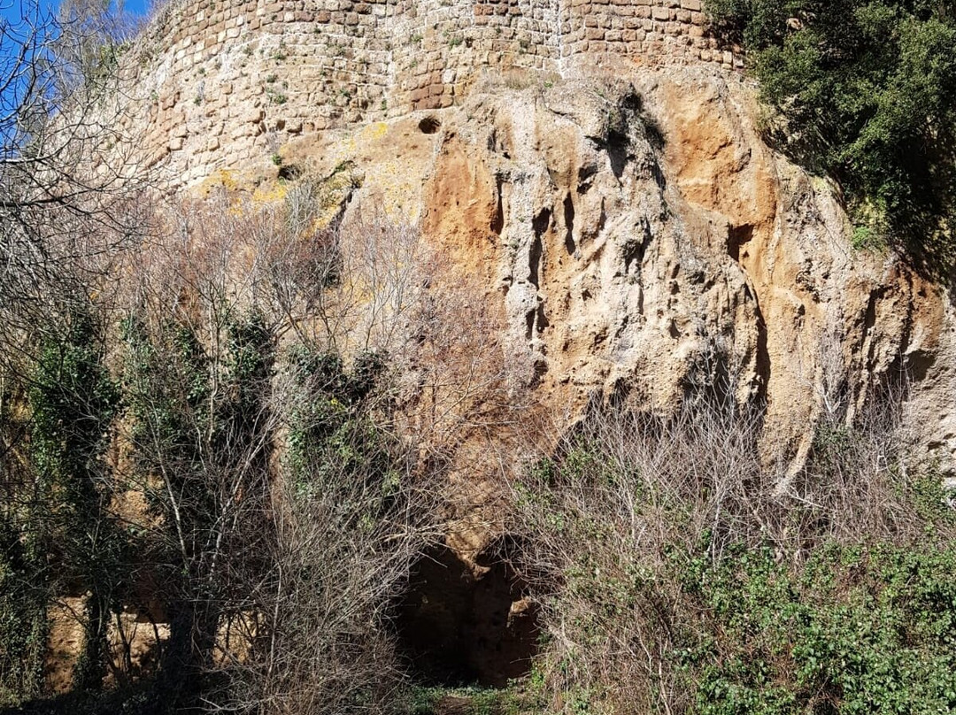 Necropoli di San Giuliano-Barbarano Romano必去景点