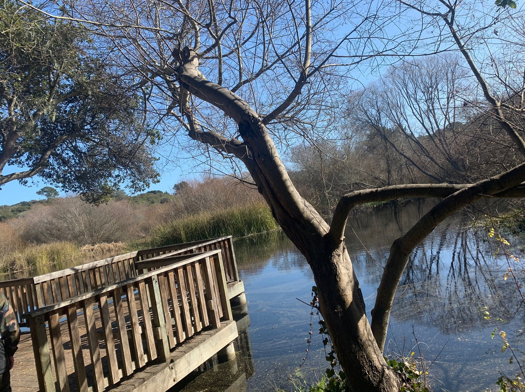 Frog Pond Wetland Preserve-锡赛德必去景点