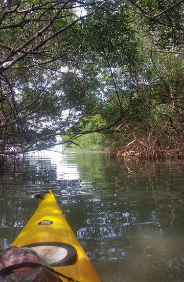 Sandy Feet Kayak Rental-帕姆港必去景点
