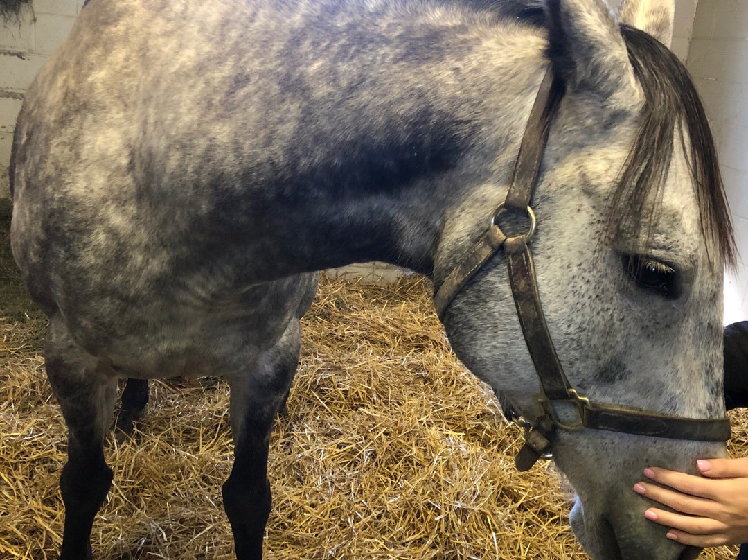 Sun Valley Farm-Versailles必去景点