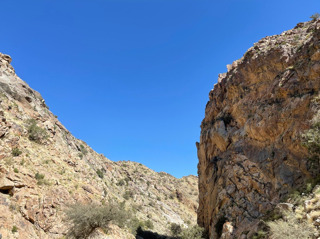 Shafa Mountains-Taif必去景点