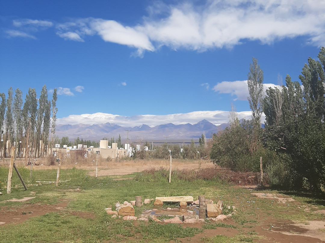 Aire de Barreal Hostel Andino主图