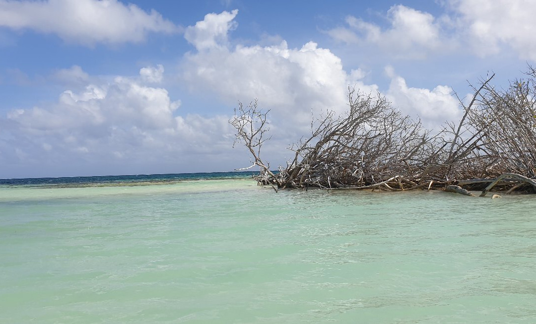 Grand Cul-de-Sac Marin-Basse-Terre必去景点