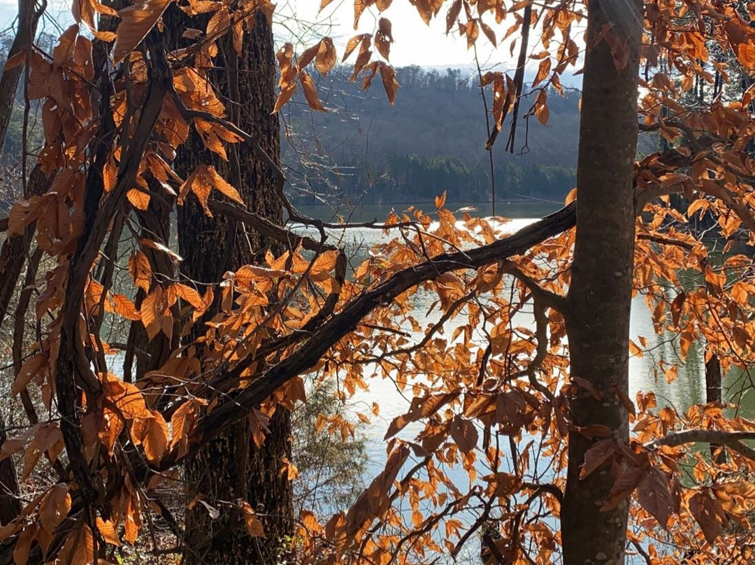 Haig Mill Lake Park-多尔顿必去景点