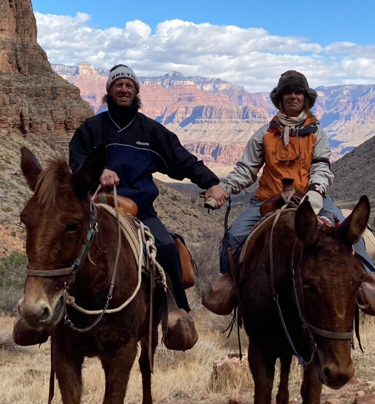 Grand Canyon Mule Tours by Xanterra景点图片