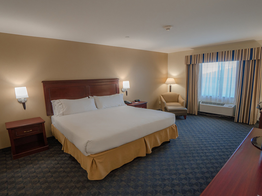 潘帕快捷假日&套房酒店主图