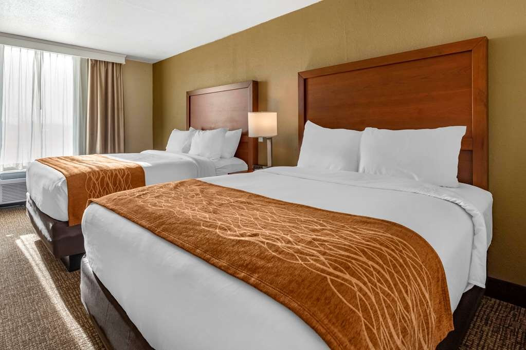 Comfort Inn & Suites主图