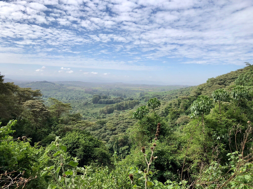 Elephant Caves-卡拉图必去景点