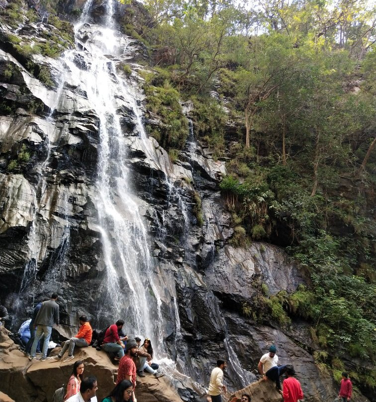 Bee Falls景点图片