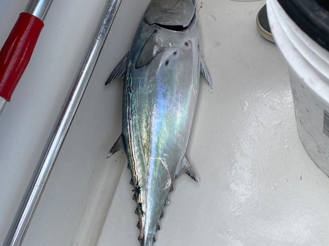 Pelagic Hunter Sportfishing-Sneads Ferry必去景点