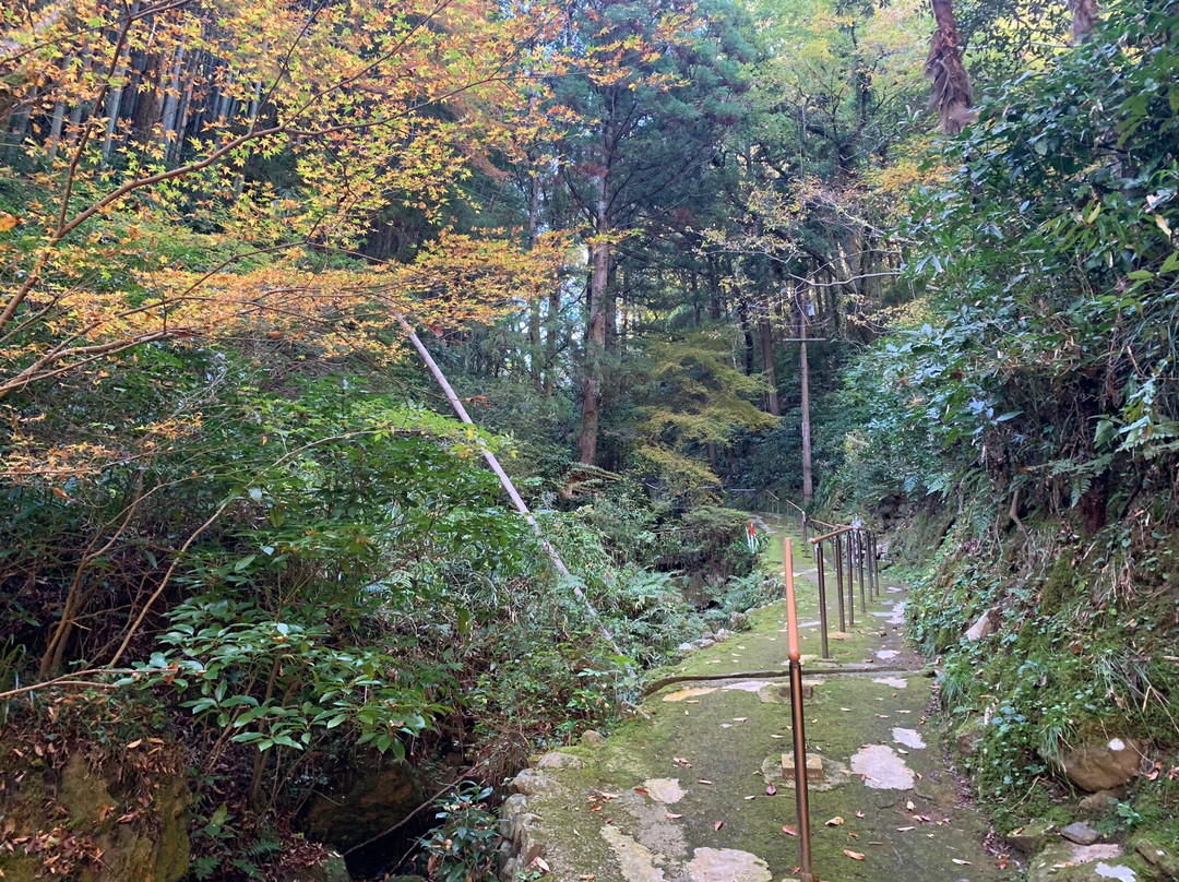 Otome Mountain Path Maria Cathedral景点图片