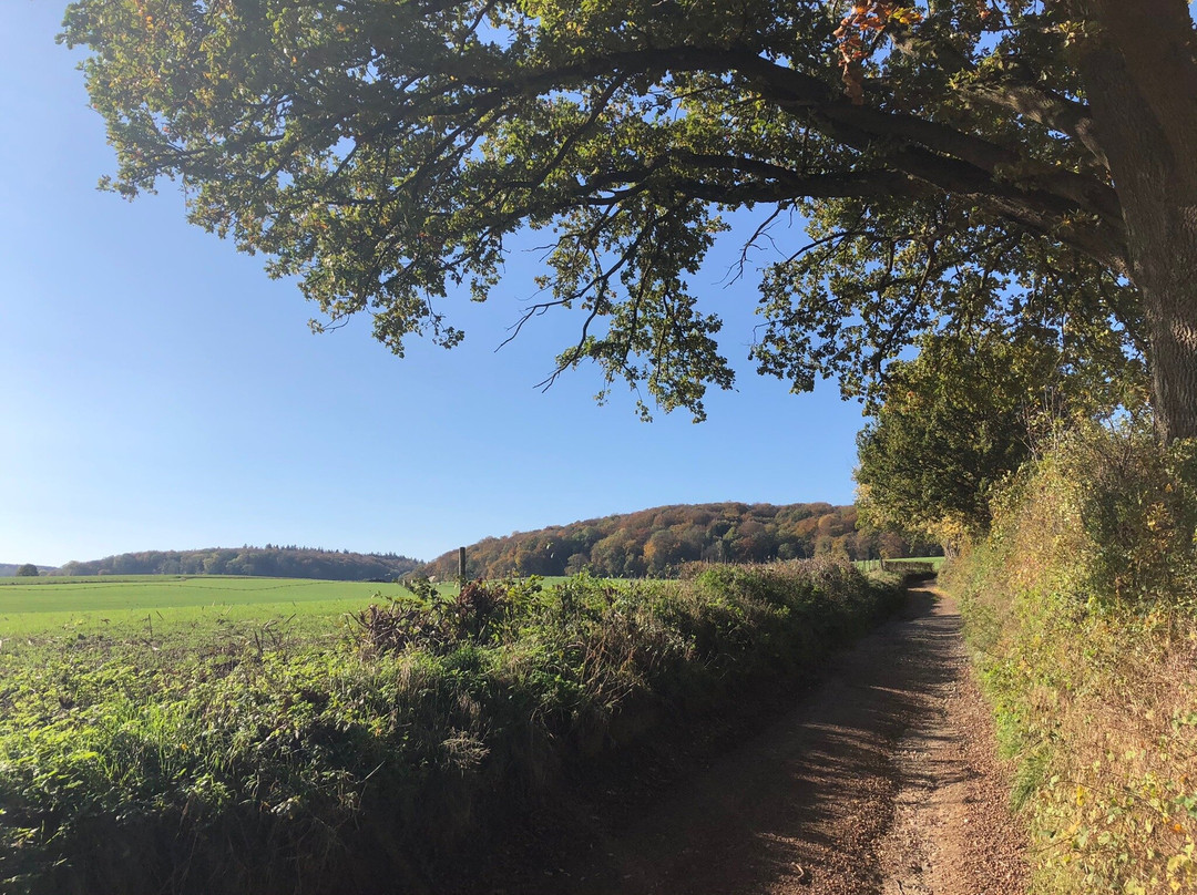 Natuurwandeling