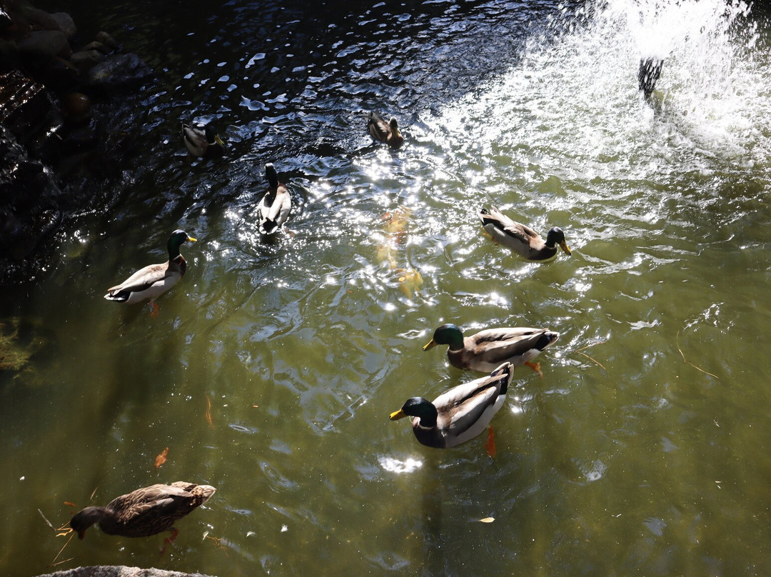 黛娜花园酒店主图