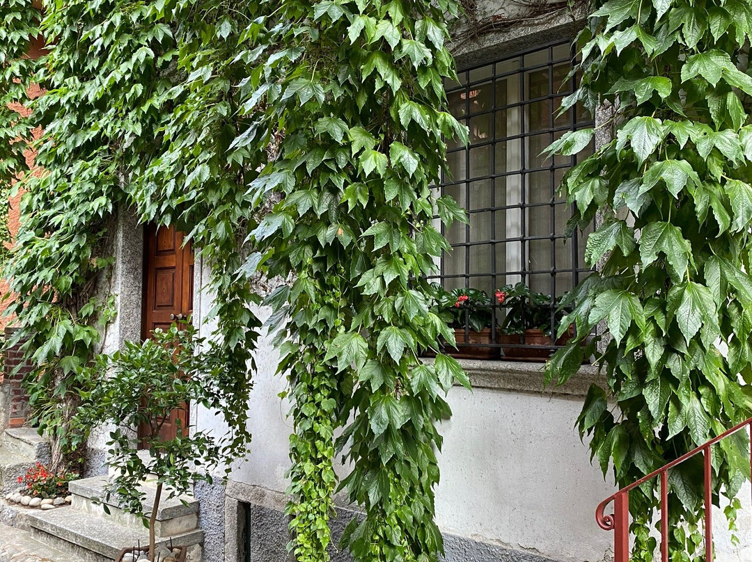 Borgo di Pescallo景点图片
