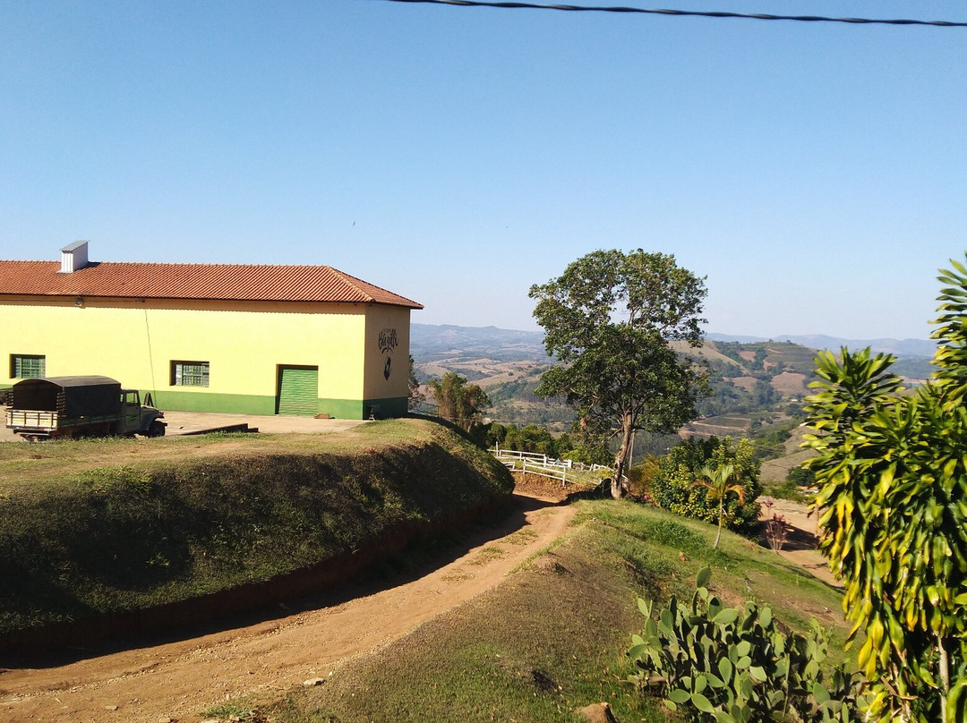Café Bazilli-Caconde必去景点