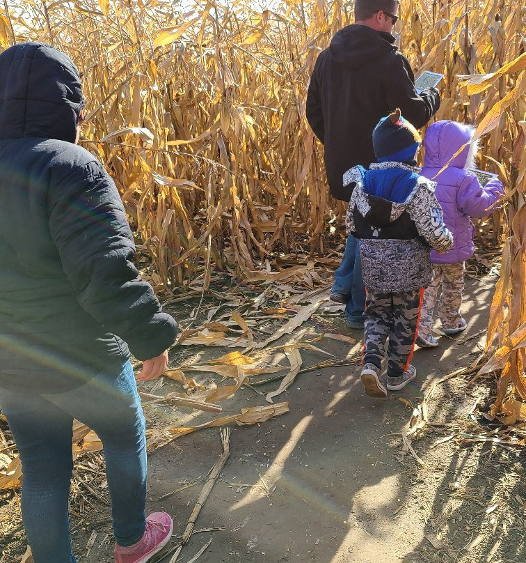 Polly's Pumpkin Patch-Chilton必去景点
