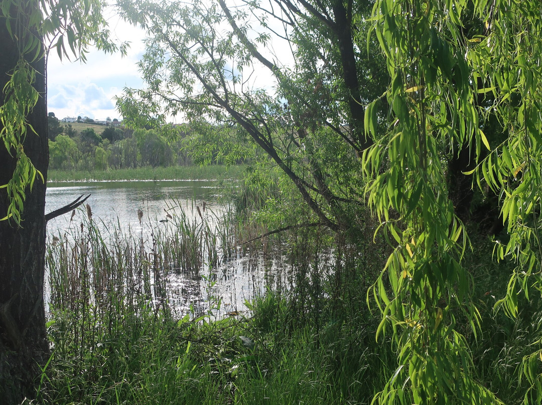 Lake Wallace-Wallerawang必去景点