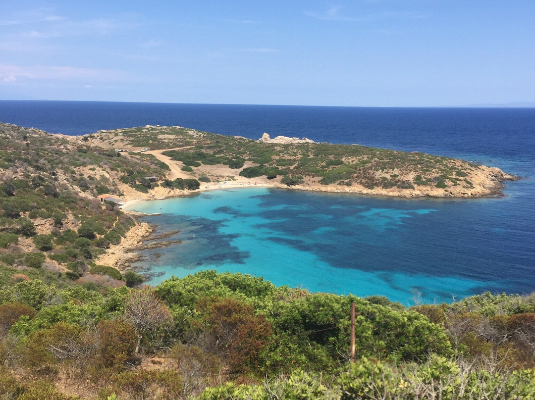 Cala dei Ponzesi-Asinara必去景点