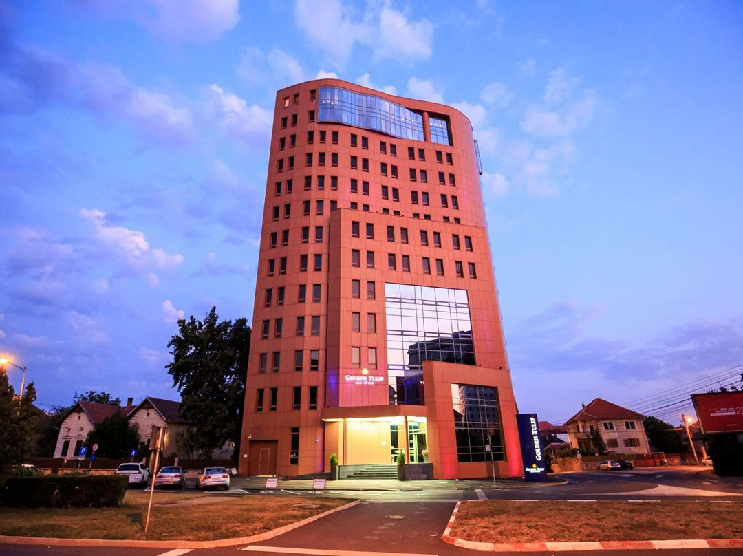 Golden Tulip Ana Tower Sibiu主图