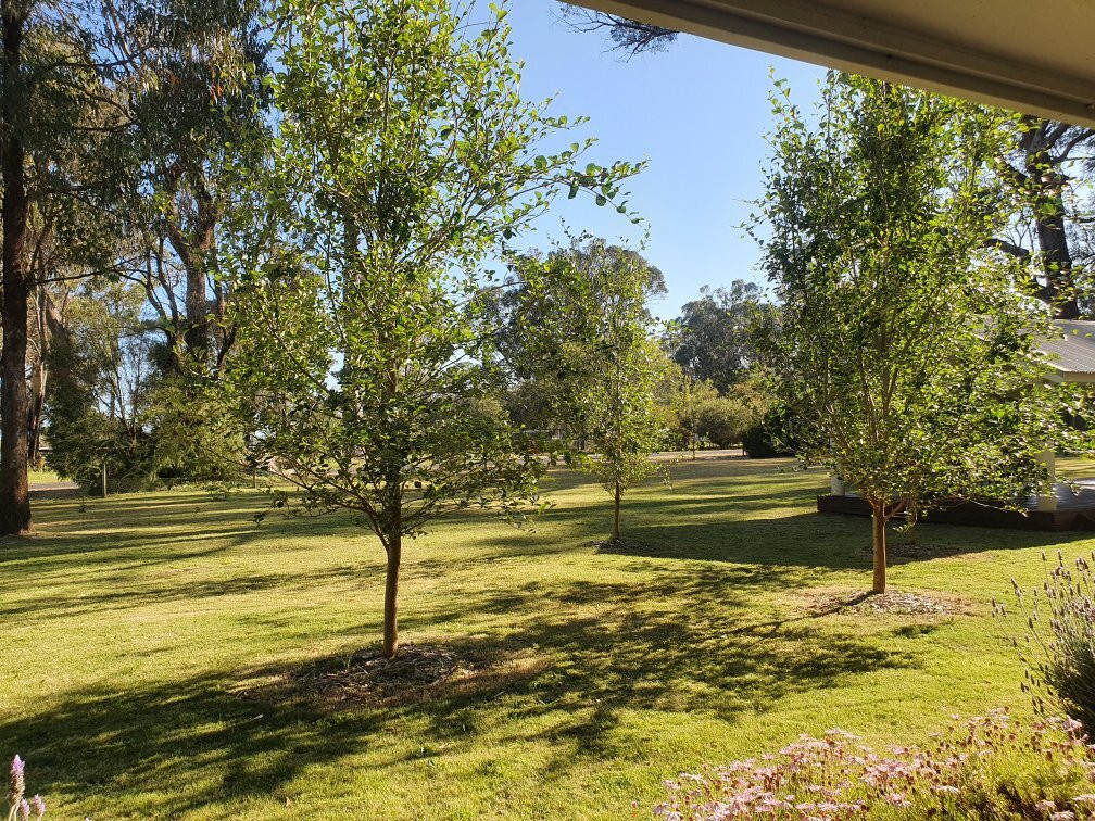 巴瑟尔顿图亚特斯游客民宿旅馆主图