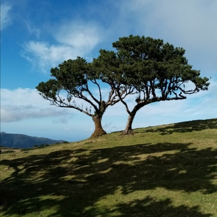 Guia Ilha da Madeira-马德拉群岛必去景点