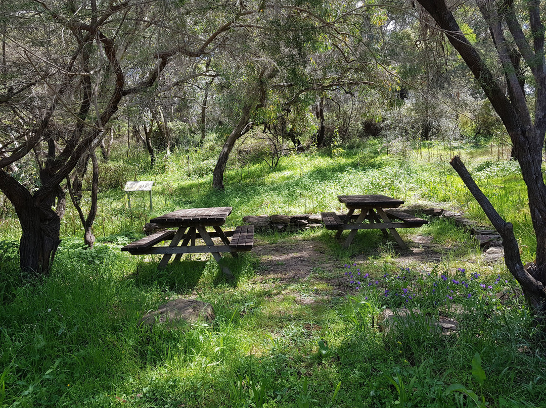 Burrendong Arboretum-Mumbil必去景点