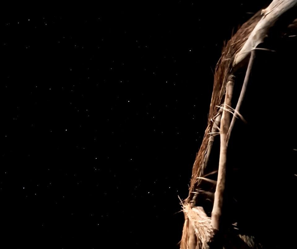 Safari Beach Resort主图