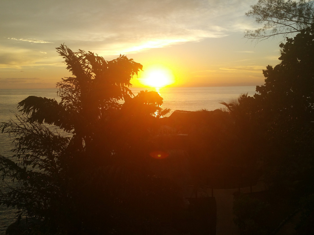 Catcha Falling Star主图