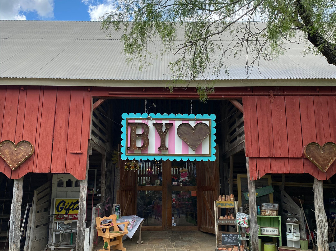 Selma旅游景点-Bless your heart