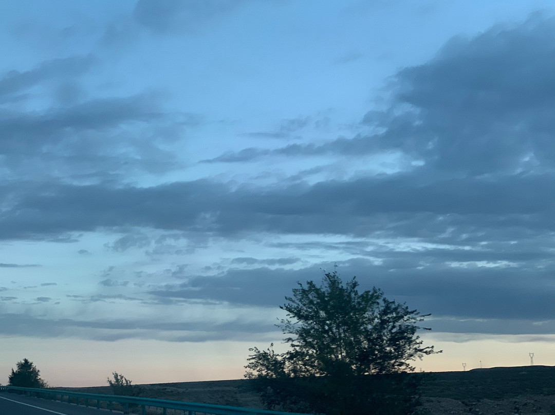 阿拉善盟群众艺术馆-阿拉善左旗必去景点