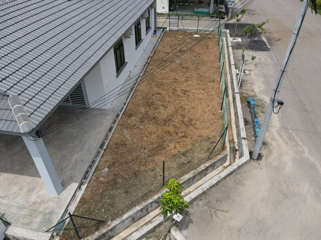 Starlight Rompin Homestay主图