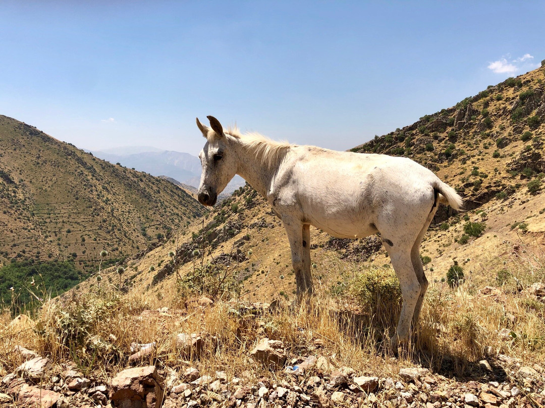 Awesar-Tawella必去景点