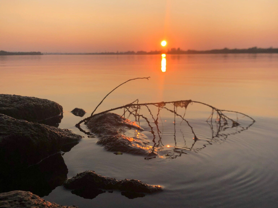 Hampton Inn Burley主图