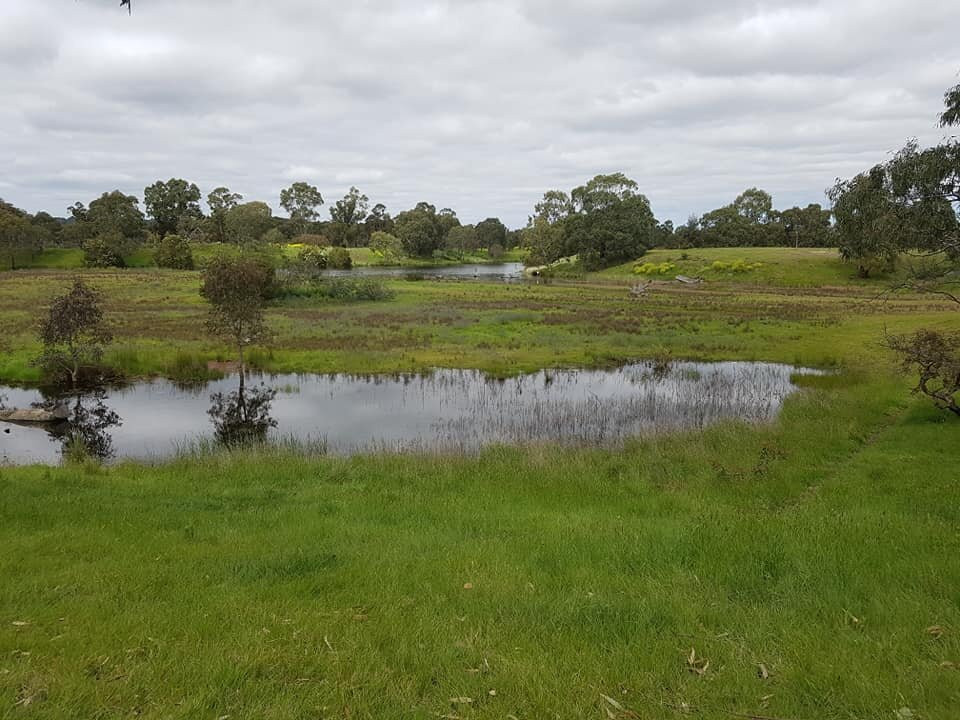 Morang Wetlands-South Morang必去景点