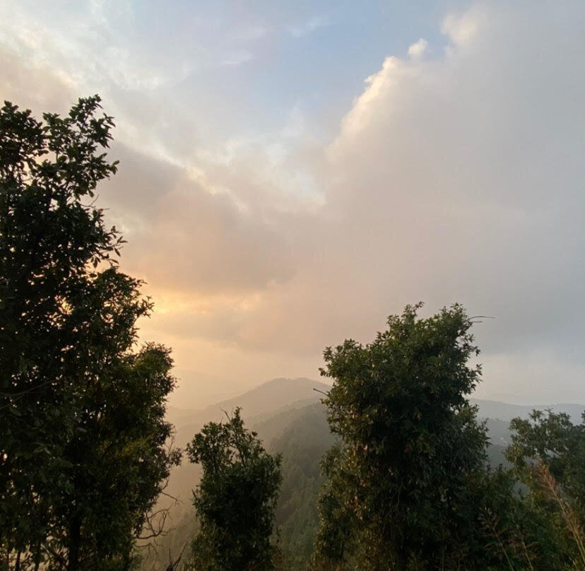 Shivaya Since 1953主图