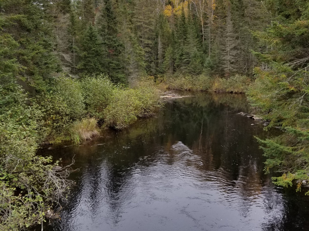 Outdoor Adventures ATV-South River必去景点