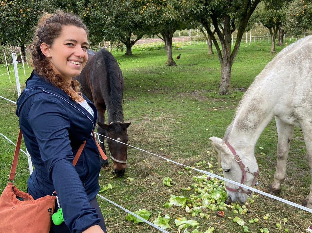 Ansteingut-Prato allo Stelvio必去景点