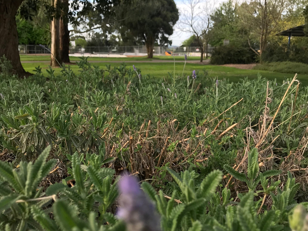 Baromi Park-Mirboo North必去景点