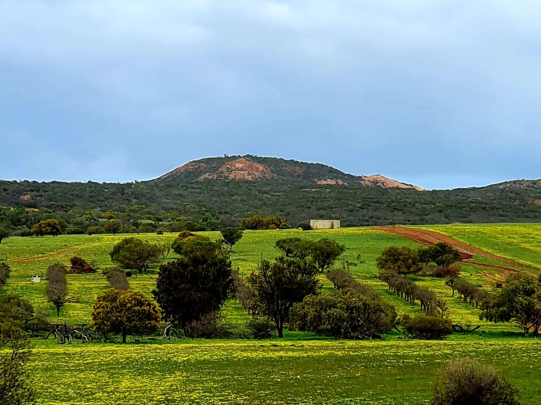 Horrocks旅游景点-Ninghan Park Farm