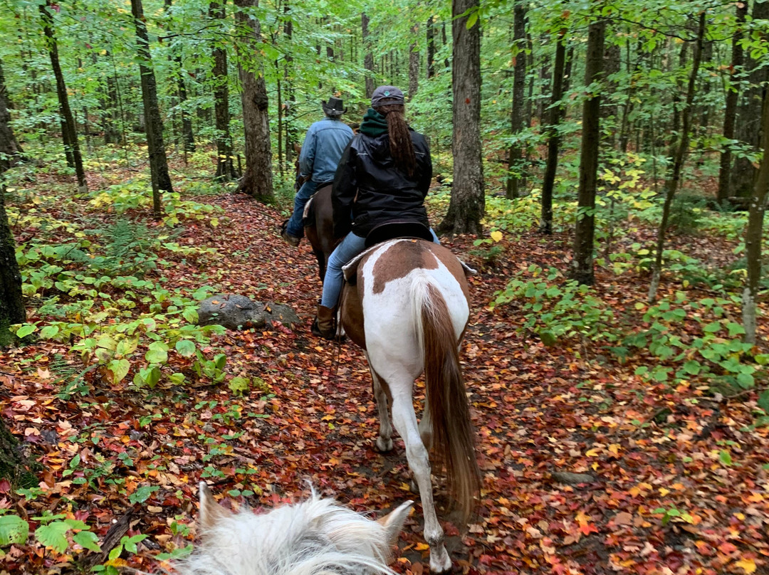 Adirondack Saddle Tours-Eagle Bay必去景点