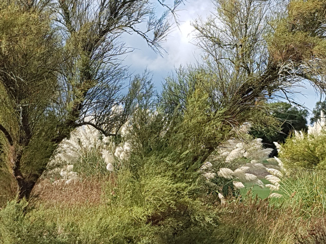 Golf d'Oleron景点图片
