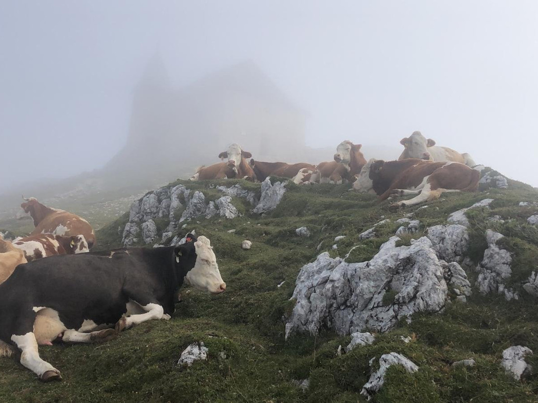 Naturpark Dobratsch景点图片