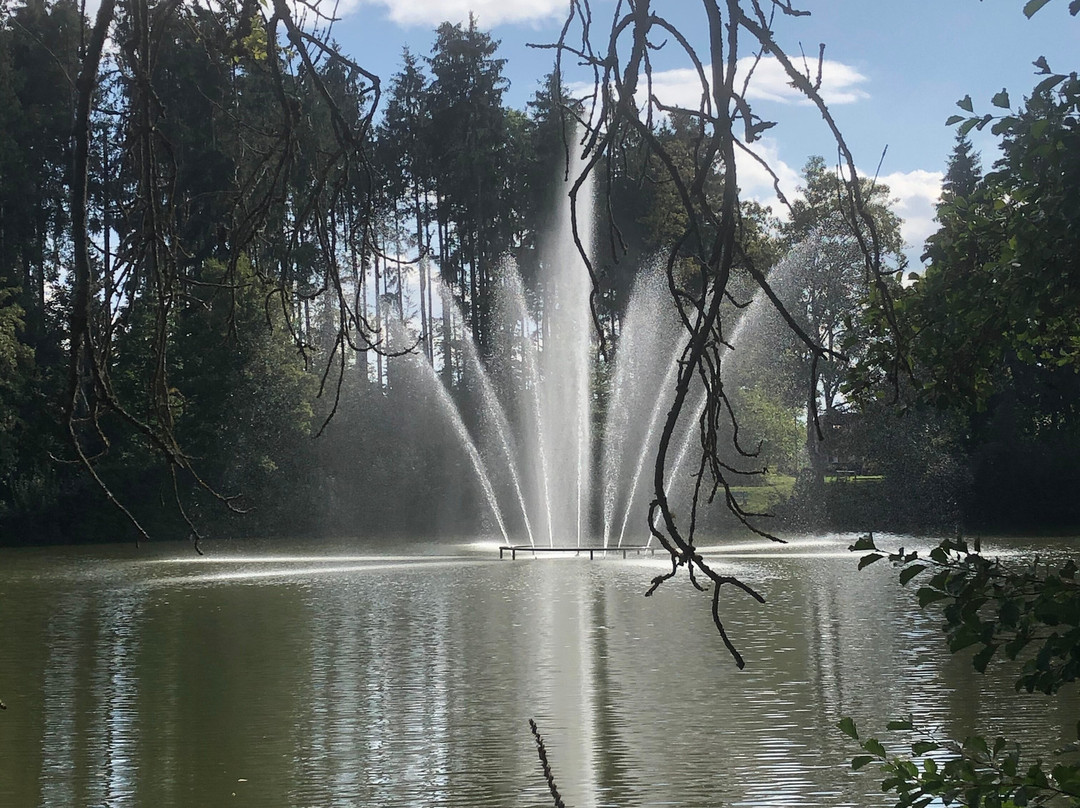 Hotel Salinensee主图