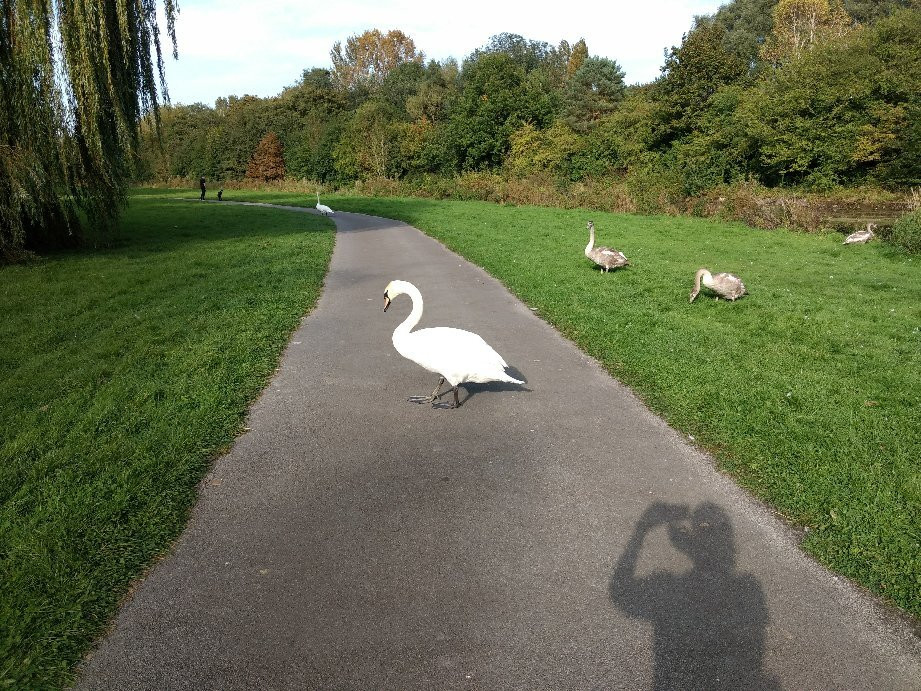 Sankey Valley Park-沃灵顿必去景点
