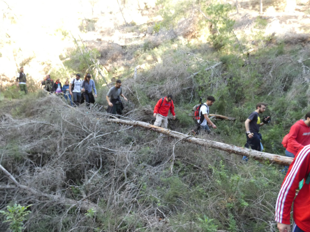 Buitre Aventuras-Cieza必去景点