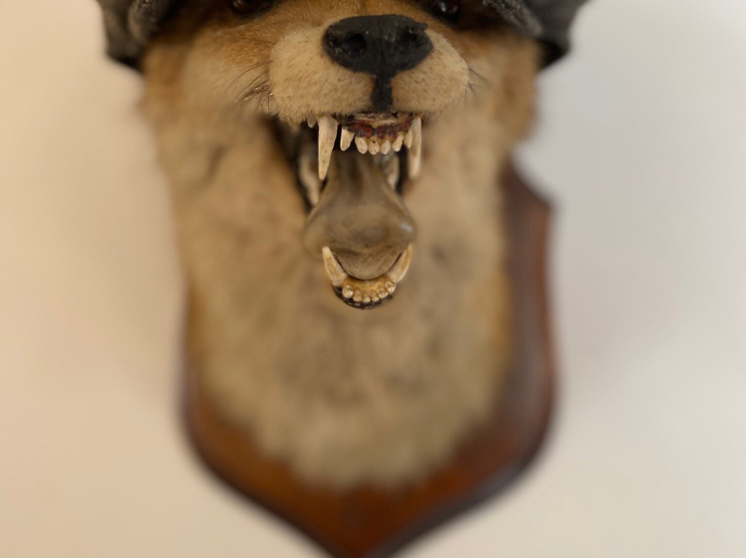 Fox & Pheasant Inn主图