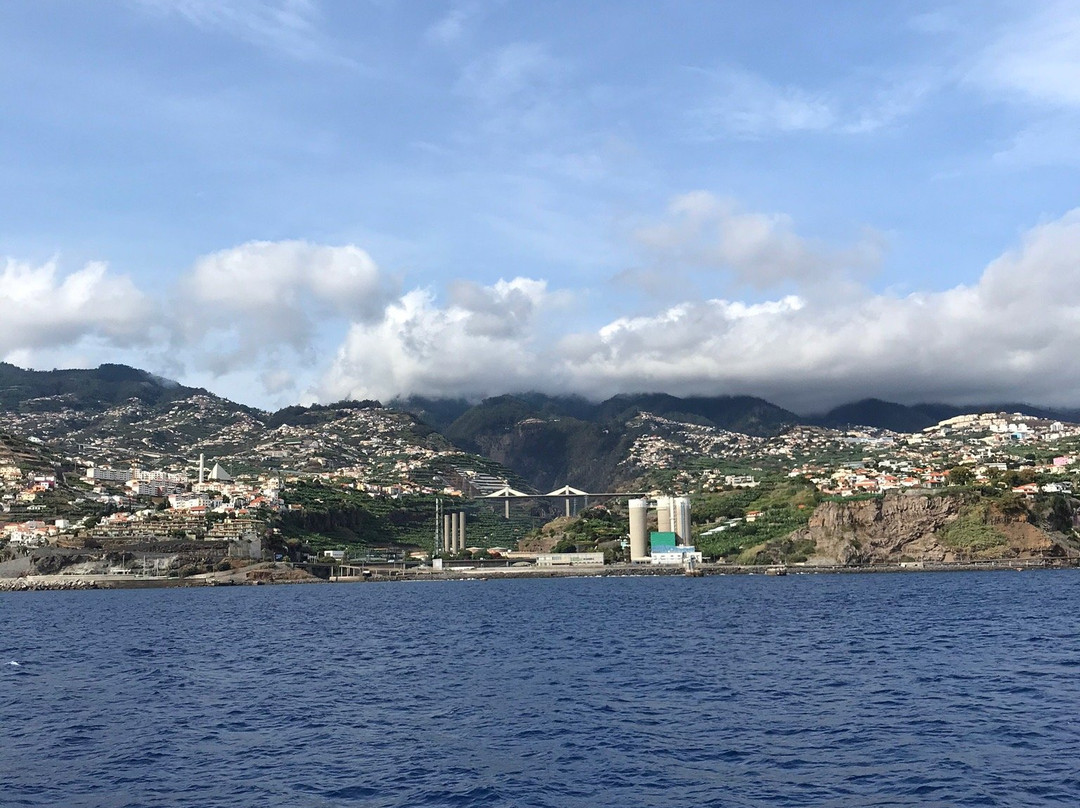 Vip Dolphins-沙尔必去景点