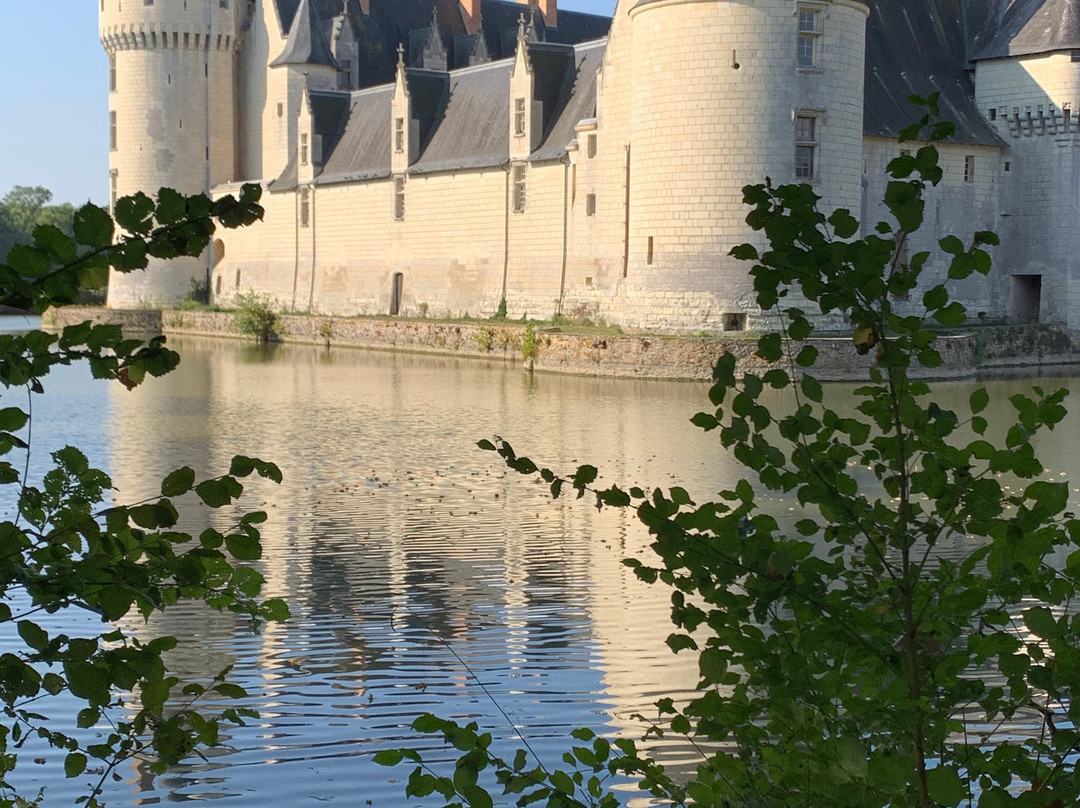 Chateau du Plessis-Bourré景点图片
